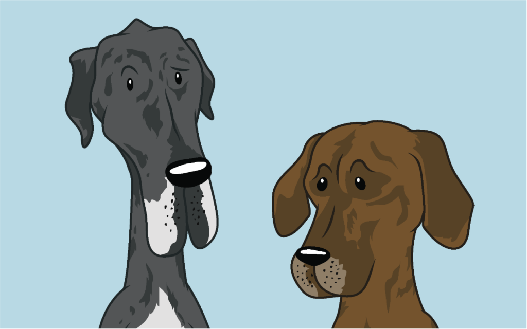 cartoon caricature of two dogs for pet owner, fun custom gift illustration by artist rick martin